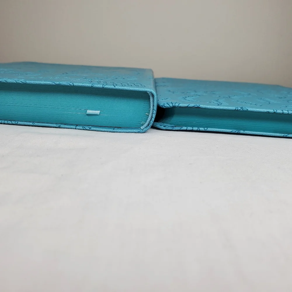 22B) BIBLE & JOURNAL Teal Soft Leather Large Print